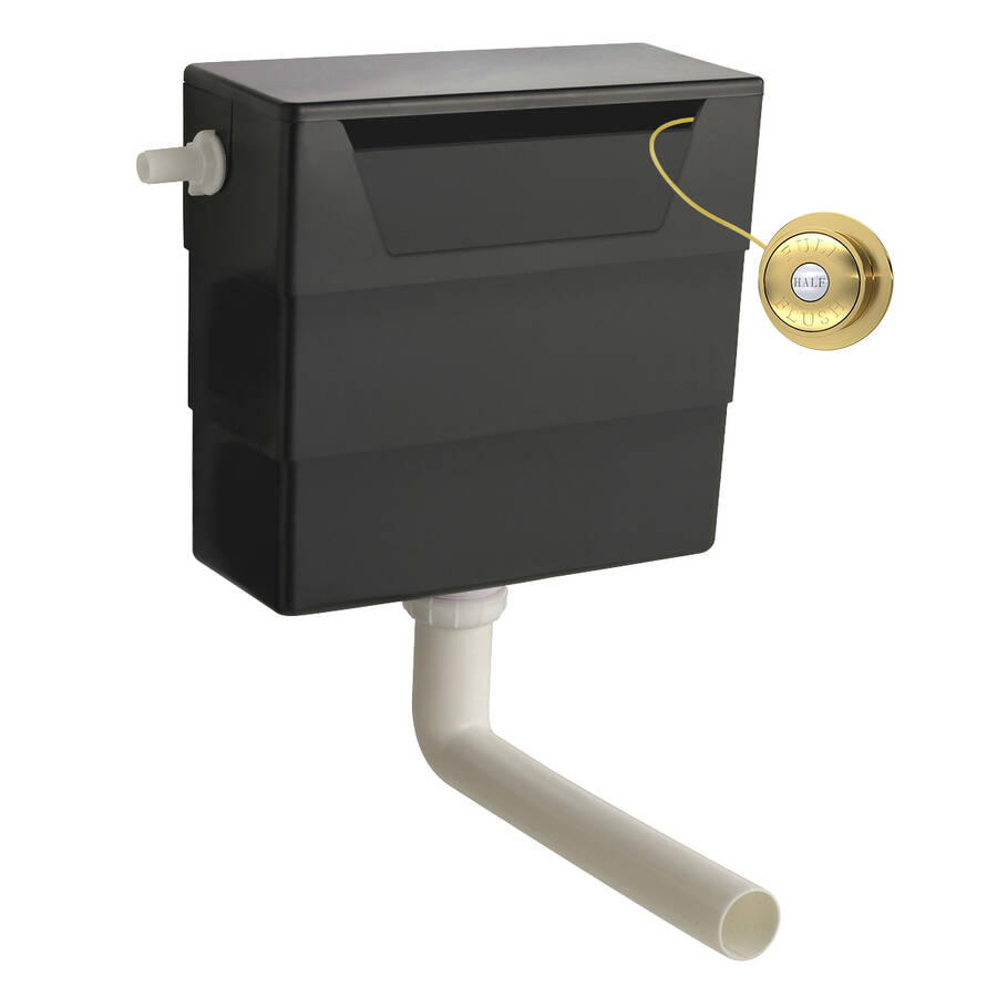 Nuie Concealed Dual Flush Cistern with Brushed Brass Traditional Flush Button