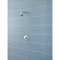 Nuie Round Chrome Manual Concealed or Exposed Shower Valve
