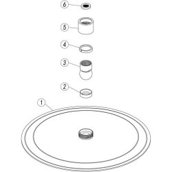 Ajax Thrunscoe Brushed Brass 250mm Round Stainless Steel Ultraslim Showerhead