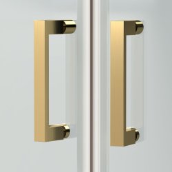 Nuie Rene 1200 x 900mm Brushed Brass Framed Offset Quadrant Shower Enclosure