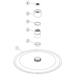 Ajax Thrunscoe Brushed Brass 200mm Round Stainless Steel Ultraslim Showerhead