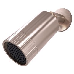 Scudo Core Brushed Bronze Spotlight Shower Head