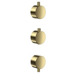 Scudo Concealed Two Outlet Shower Valve with Brushed Brass Plate Plain Handles