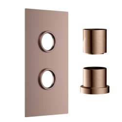 Scudo Concealed One Outlet Shower Valve with Brushed Bronze Plate Scudo Concealed One Outlet Shower Valve with Brushed Bronze Plate