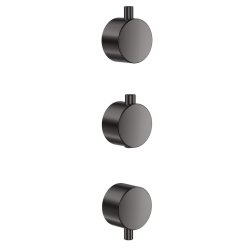 Scudo Concealed Two Outlet Shower Valve with Gunmetal Plate Plain Handles