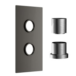 Scudo Concealed One Outlet Shower Valve with Gunmetal Plate