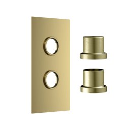 Scudo Concealed Two Outlet Shower Valve with Brushed Brass Plate Scudo Concealed Two Outlet Shower Valve with Brushed Brass Plate