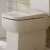 Essential Orchid Back to Wall Pan WC