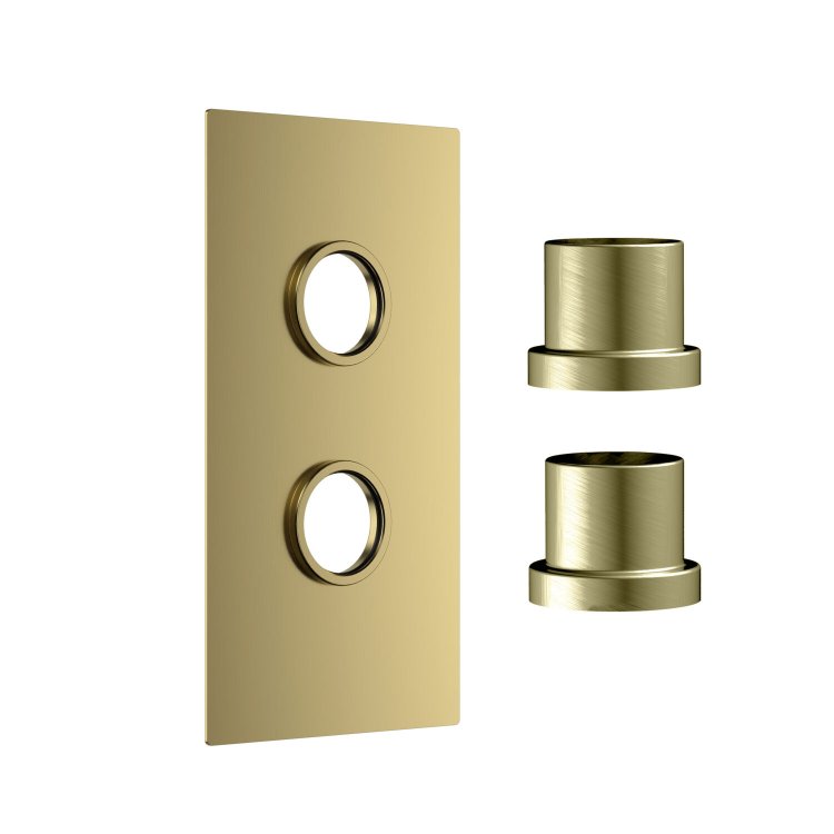 Scudo Concealed Two Outlet Shower Valve with Brushed Brass Plate Scudo Concealed Two Outlet Shower Valve with Brushed Brass Plate