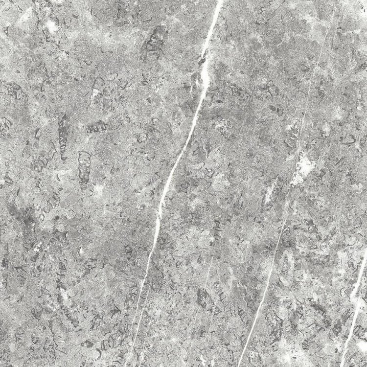 White-Lightning-Fossil